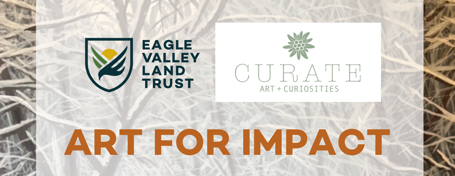 Art for Impact with Curate Art